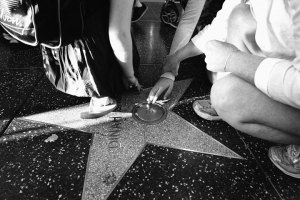 Touching-the-Star-Web